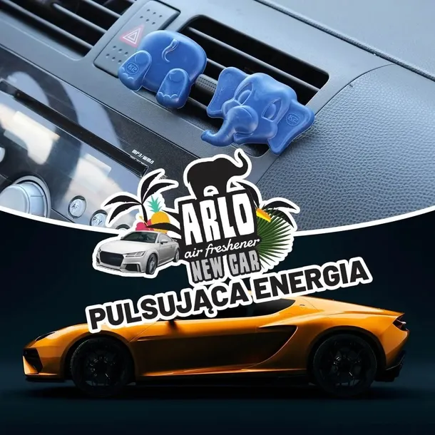 k2-arlo-brand-new-car-stan-nowy