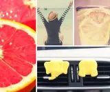 k2-arlo-grapefruit-stan-nowy