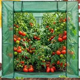 tunel-foliowy-do-uprawy-pomidorow-domowy-warzywniak-zdrowa-zywnosc-bio