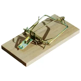 bros-lapka-na-myszy-drewniana