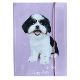 interdruk-puppy-sign-teczka-z-gumka-a4-mix-wzorow-1-sztuka