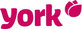 york-szczotka-do-rak-dwustronna-marka-york