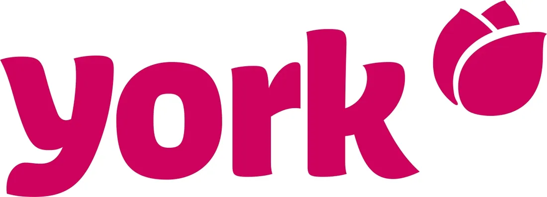 york-szczotka-do-rak-dwustronna-stan-nowy
