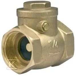zawor-zwrotny-6-4-z-klapa-pn16