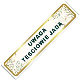 slubne-tablice-okazjonalne-weselne-do-samochodu