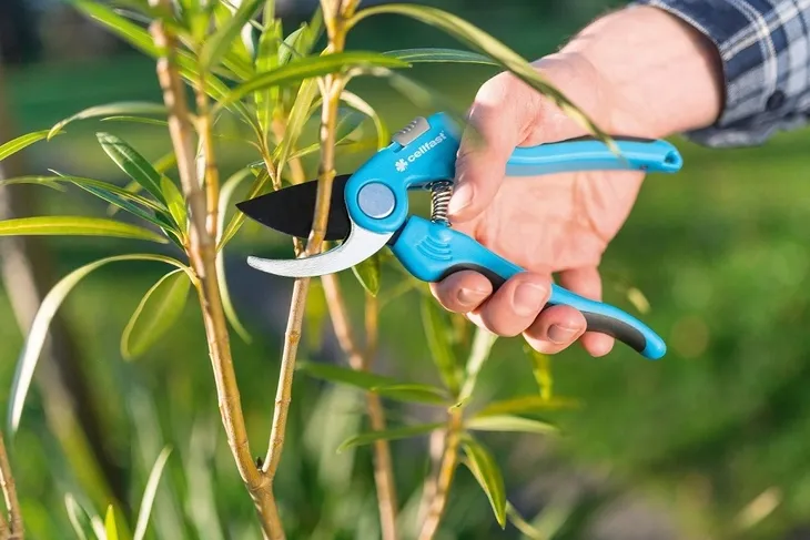 sekator-nozycowy-prosty-ideal-zasilanie-reczne