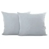 chp-axel-silver-50x60-2