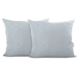 chp-axel-silver-50x60-2