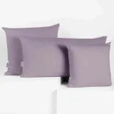 chp-amber-violet-fi20x120-2-kolor-wielokolorowy-inny