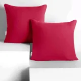 chp-amber-raspberry-50x50-2