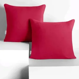 chp-amber-raspberry-50x50-2