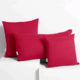chp-amber-raspberry-50x50-2-kolor-wielokolorowy-inny