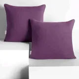 chp-amber-plum-80x80-2
