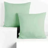 chp-amber-mint-80x80-2