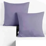 chp-amber-lavenderpurple-80x80-2