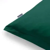 chp-amber-bottlegreen-fi20x145-2-stan-nowy
