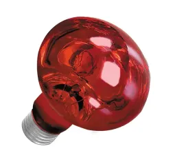 zarowka-grzewcza-nocna-terra-night-heat-50w