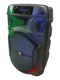 glosnik-przenosny-defender-boomer-20-bluetooth-20w-tws-radio-fm-led-usb