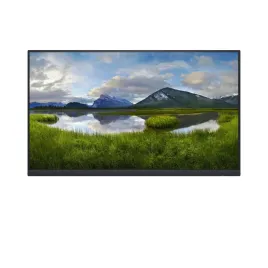 monitor-dell-p2422hwos-ips-238