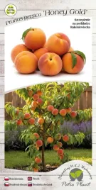 mini-patio-brzoskwinia-honey-gold-sadzonka-w-pojemniku-4l