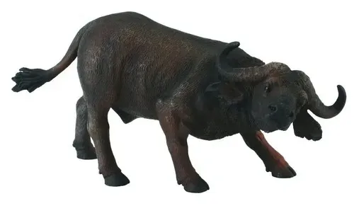 bawol-afrykanski