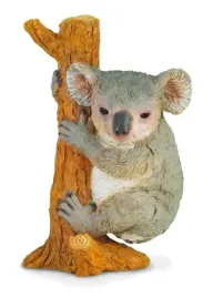 mis-koala-wspinajacy-sie-m