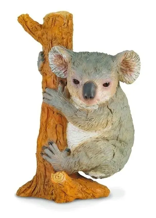 mis-koala-wspinajacy-sie-m