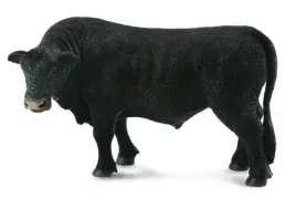 byk-czarny-angus