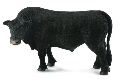 byk-czarny-angus