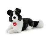 border-collie-m