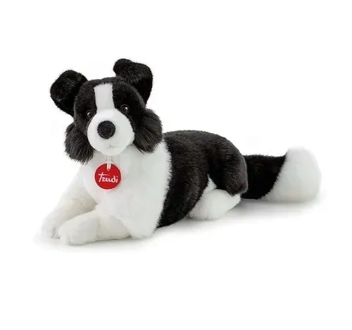 border-collie-m