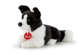border-collie-scott-s