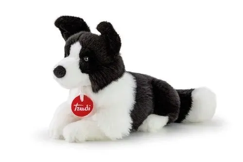 border-collie-scott-s