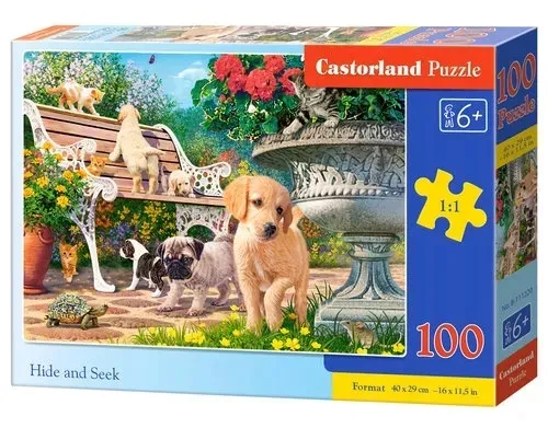 puzzle-hide-and-seek-100