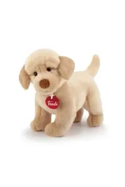 labrador-liam-klasyczny-s