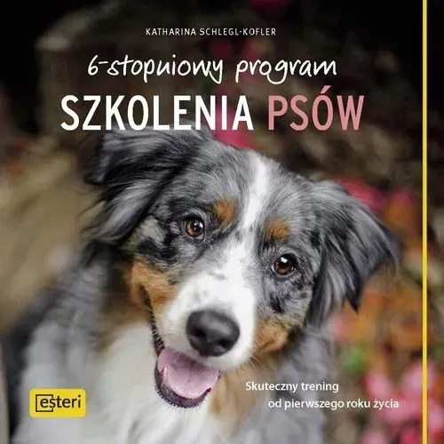 6-stopniowy-program-szkolenia-psow