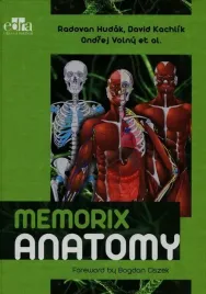 memorix-anatomy