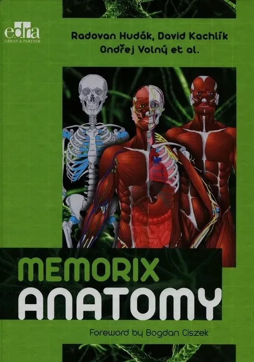 memorix-anatomy