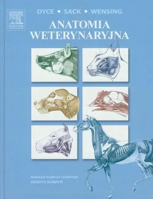 anatomia-weterynaryjna
