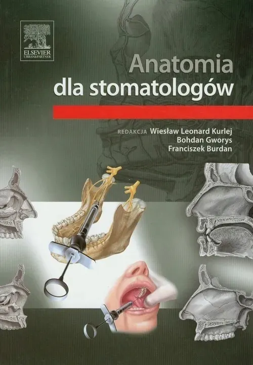 anatomia-dla-stomatologow