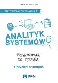 analityk-systemow