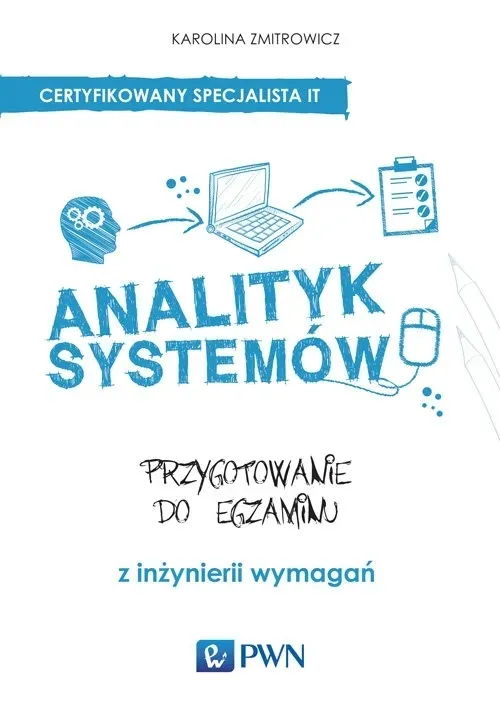 analityk-systemow