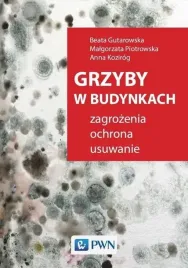 grzyby-w-budynkach