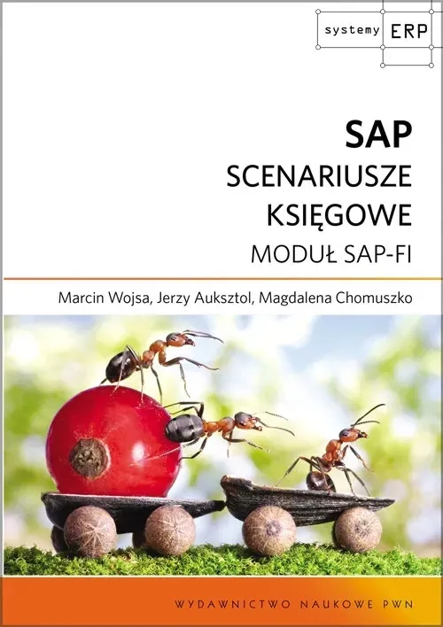 sap-scenariusze-ksiegowe