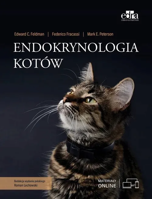 endokrynologia-kotow