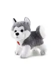 sweet-collection-husky