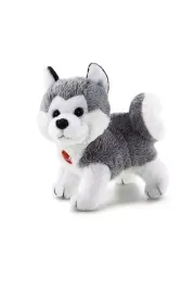 sweet-collection-husky