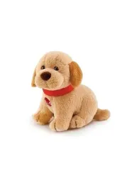 sweet-collection-labrador
