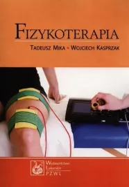 fizykoterapia