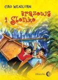 brazowy-i-slonko